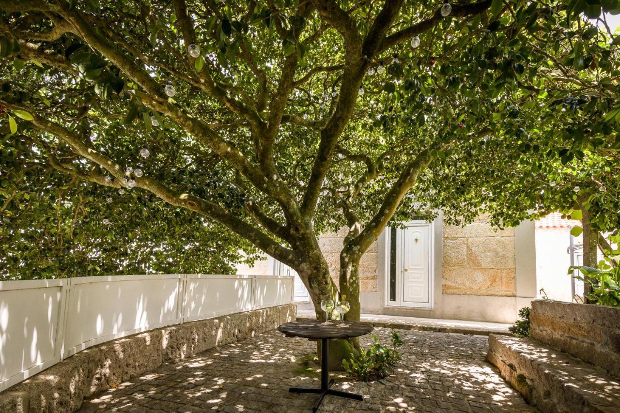 Casa De Ferreira Cinfaes Villa Exterior foto